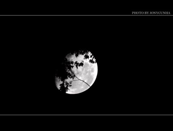 Archieffoto: Trump belooft mensen op de maan voor het einde van zijn termijn