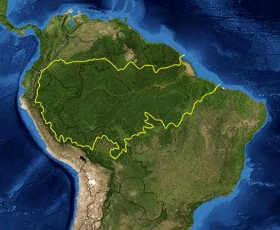 Archivbild: Abholzung im brasilianischen Amazonas sinkt auf historisch niedriges Niveau