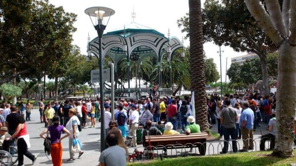 Ambientalistas contestam aprovação de projeto de tangerinas em Alcácer do Sal