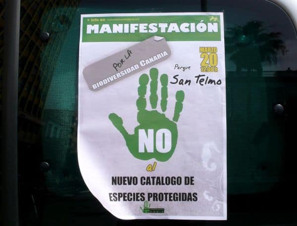 Ambientalistas contestam aprovação de projeto de tangerinas em Alcácer do Sal