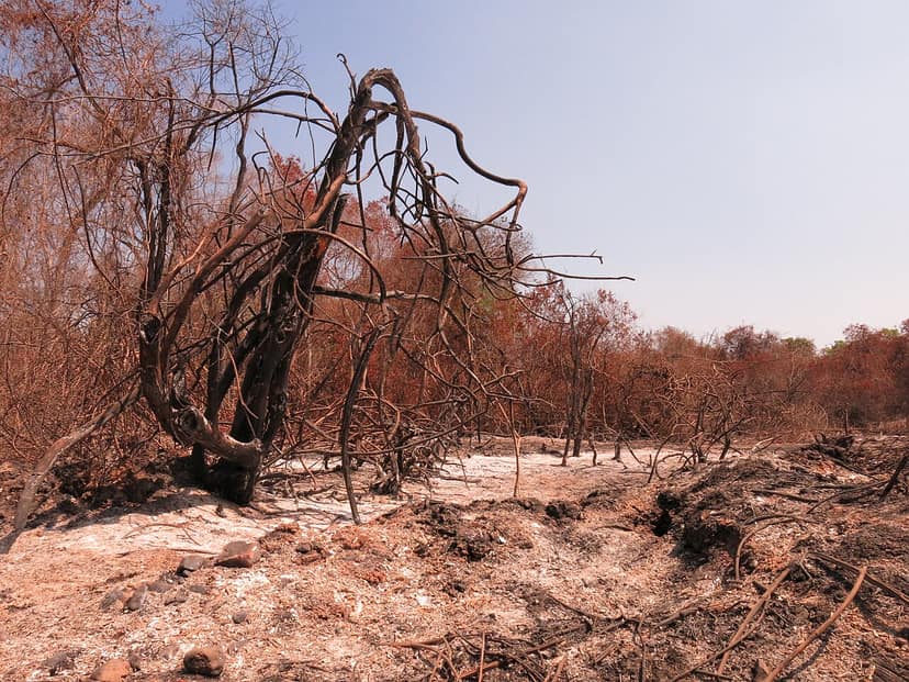 Tres incendios activos en Chaves y Boticas