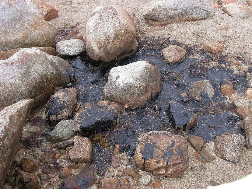 Irão combate poluição por petróleo na zona costeira perto de Qeshm