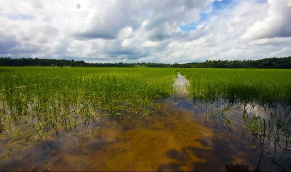 Foto de arquivo: Parlamento aprova lei para renomear o Kerala para Keralam