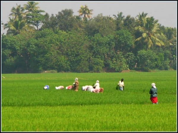 El parlamento aprueba un proyecto de ley para renombrar Kerala a Keralam