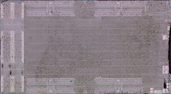 AMD erwirbt Startup Taalas für KI-Chips