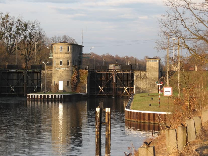 Foto de archivo: Polonia informa sobre nueva mortandad de peces en el canal de Gleiwitz debido a algas doradas