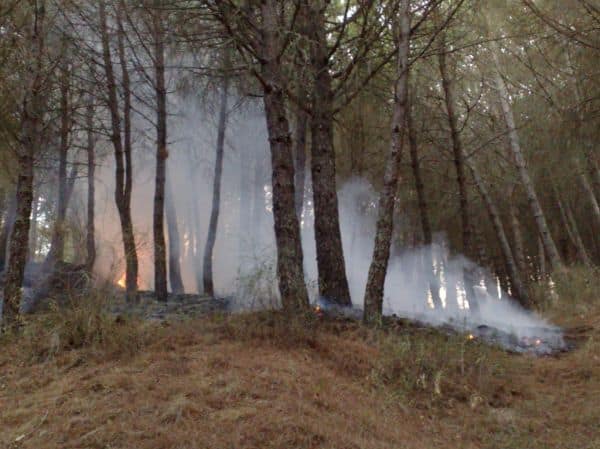 Incendie de forêt en Colombie-Britannique : une femme meurt, 20 000 personnes évacuées