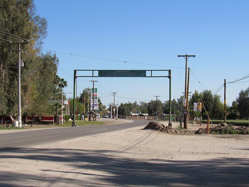 Douze membres des Caballeros Templarios arrêtés à Michoacán