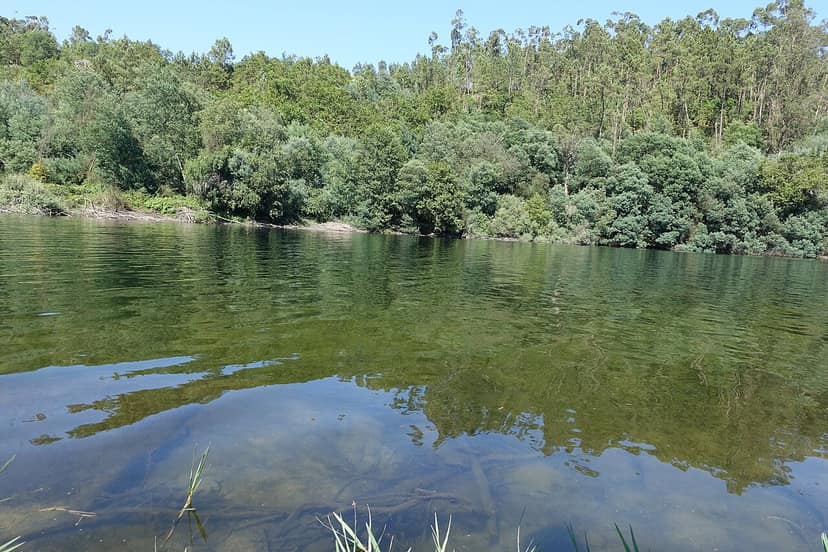 Braga. Cinquante plages fluviales déconseillées pour la baignade