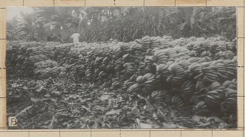 Foto d'archivio: Una tromba d'aria devasta il villaggio di Pomas nell'Aude, 41 feriti segnalati