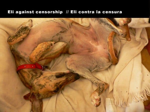 Venezuela: July marked by official censorship and opacity