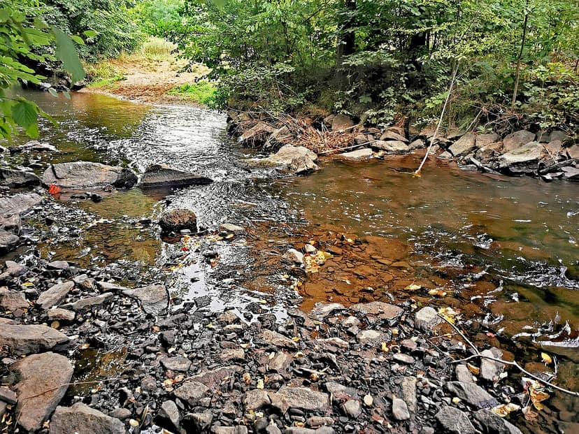 Navegação fluvial adverte sobre possível divisão do Reno devido a baixos níveis de água
