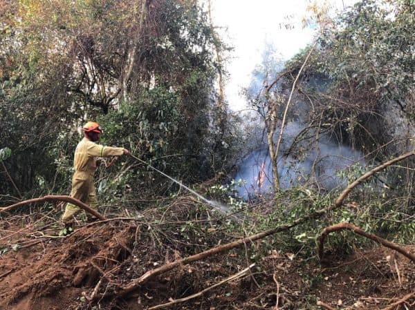 Foto de archivo: Incendios en Carrazeda de Ansiães y Vila Pouca de Aguiar entran en fase de resolución