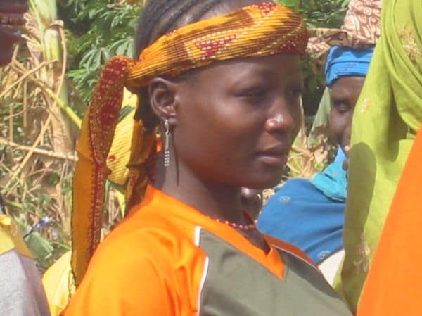 Dodelijke botsing tussen twee bussen in Niger: minstens 22 doden