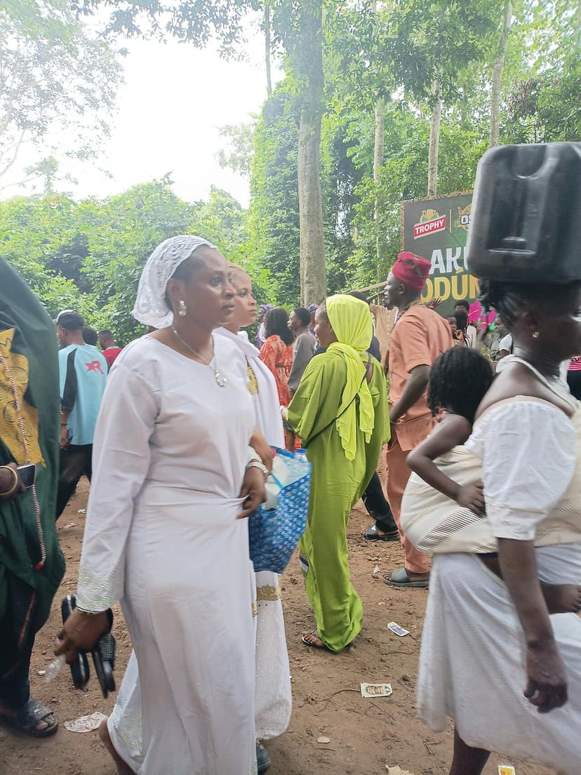 Foto d'archivio: La visita di Adeleke a Tinubu dichiarata di routine dal Consiglio della campagna