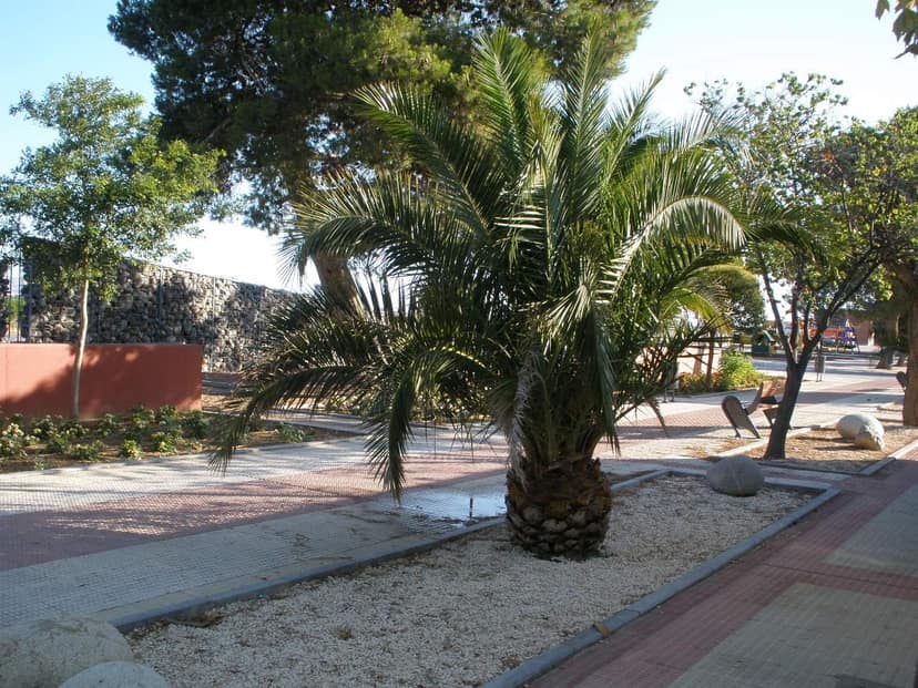 Detenida una hija y su pareja por el doble homicidio en Tauste