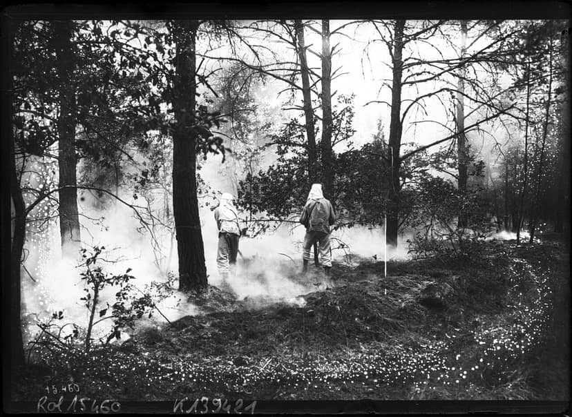 Die Fontainebleau-Wald öffnet teilweise nach den Bränden im Juli