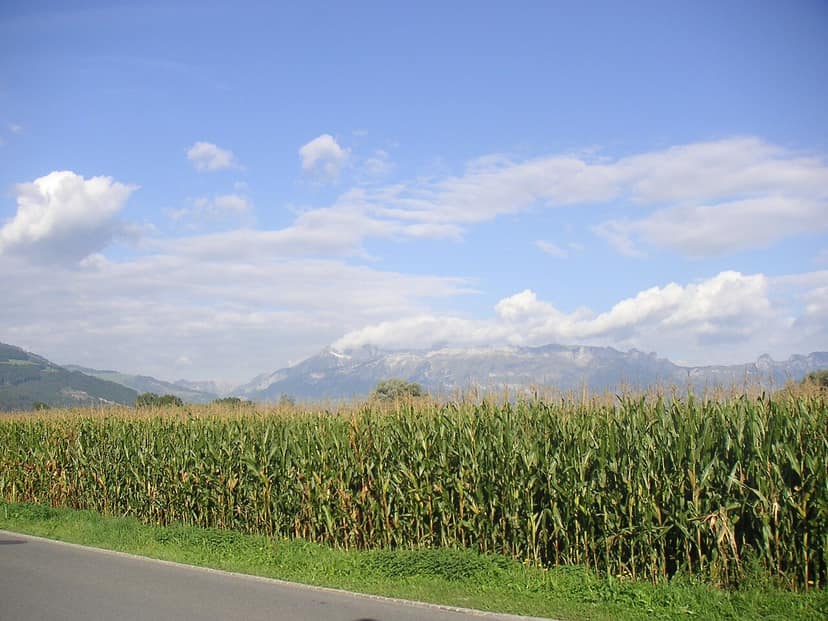 Liechtenstein wird Opfer eines Cyberangriffs, der Geheimnisse millionenschwerer Stiftungen offenbart