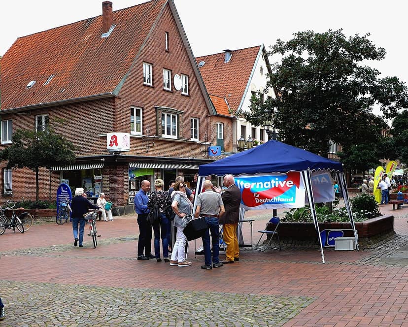 Archieffoto: AfD in Saksen-Anhalt: een verkiezingsdag onder hoge druk