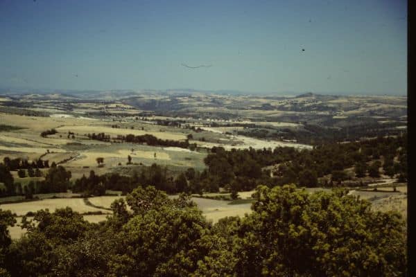 Trás-os-Montes: good harvest at the grape harvest, concern in Valpaços