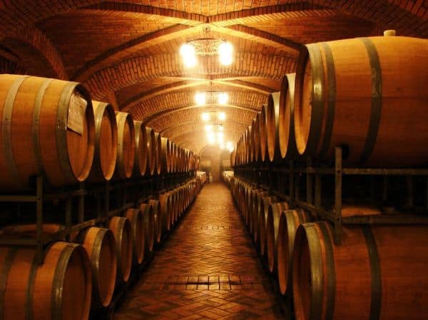 Trás-os-Montes: good harvest at the grape harvest, concern in Valpaços