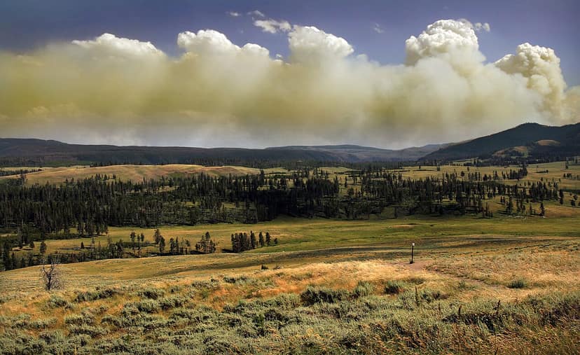 Incendio en los Altos Valles: se observa un raro pyrocumulus