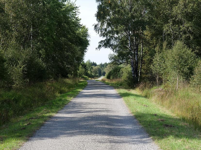 Blusvliegtuigen momenteel buiten België te hulp bij natuurbrand