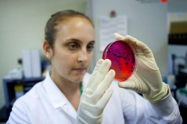 Archieffoto: Dode en meer dan 200 zieken bij salmonella-uitbraak in Verenigd Koninkrijk