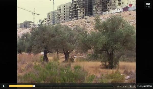 Israeli settlers' violence in Qusra, West Bank: critical situation
