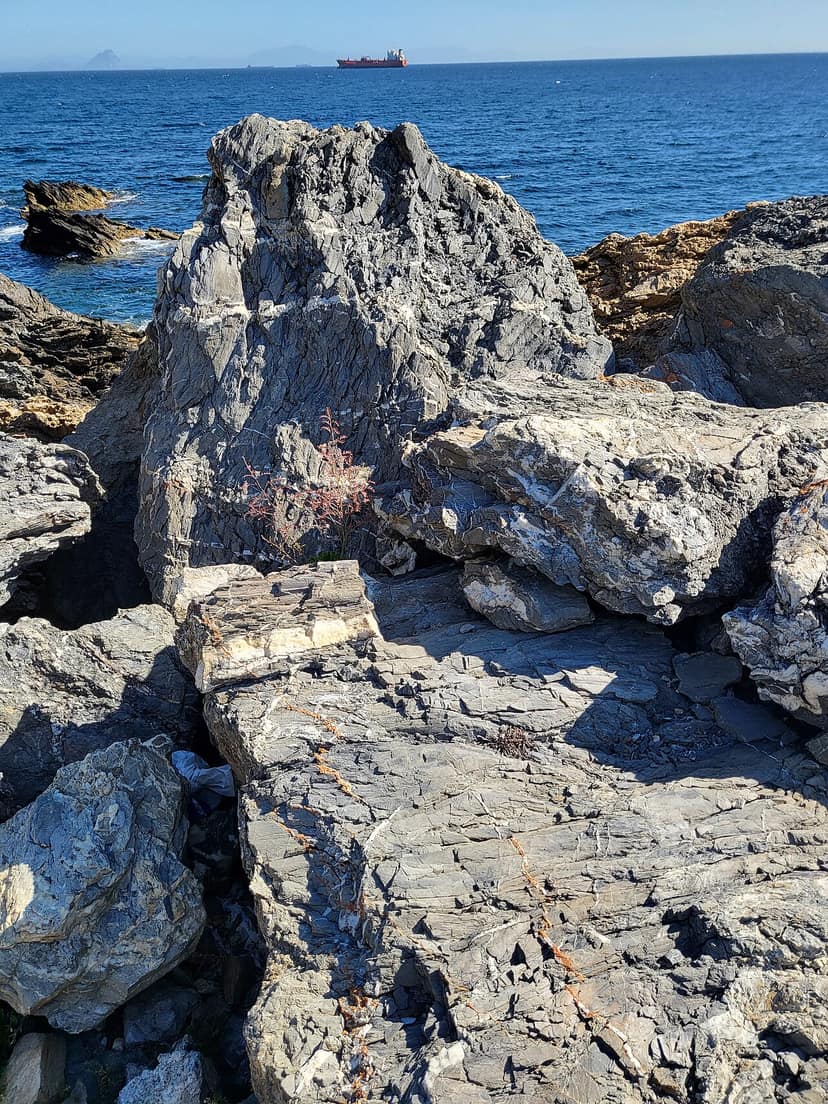 Spanien verstärkt GrenzbewProtection in Ceuta nach Online-Aufrufen