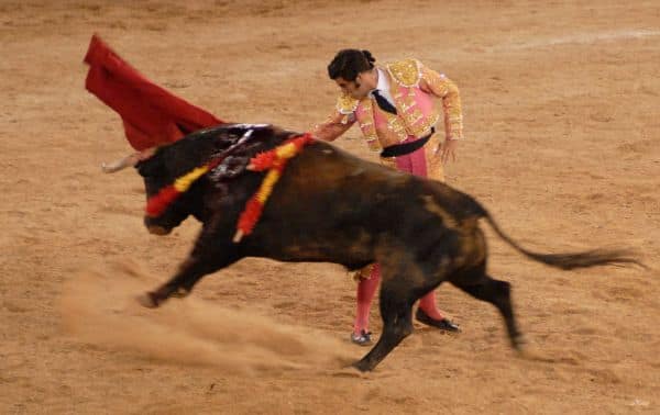 Morante de la Puebla et Pablo Aguado triomphent à la feria de Gijón