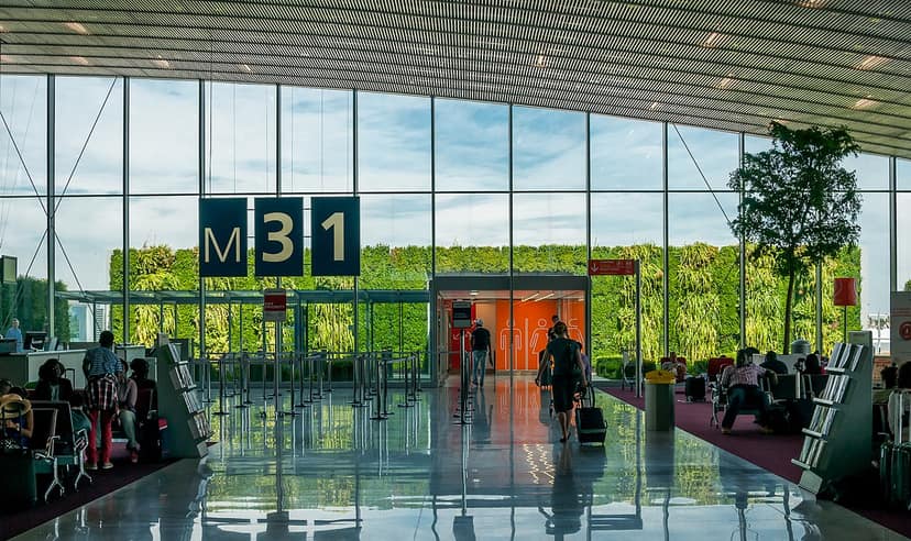 Große Brand auf Parkplatz nahe Flughafen Paris zerstört Dutzende Autos