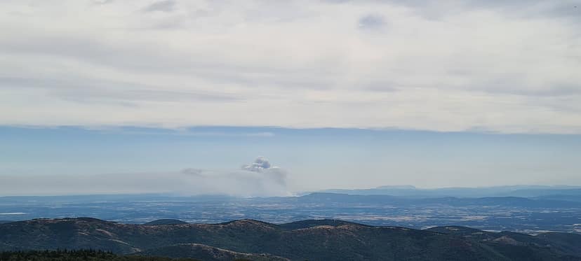 Incendie dans les Hautes Fagnes : mesures d'urgence et moyens aériens internationaux déployés
