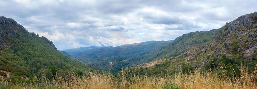 Quercus conteste le passage de la Volta à Portugal dans la Mata de Albergaria