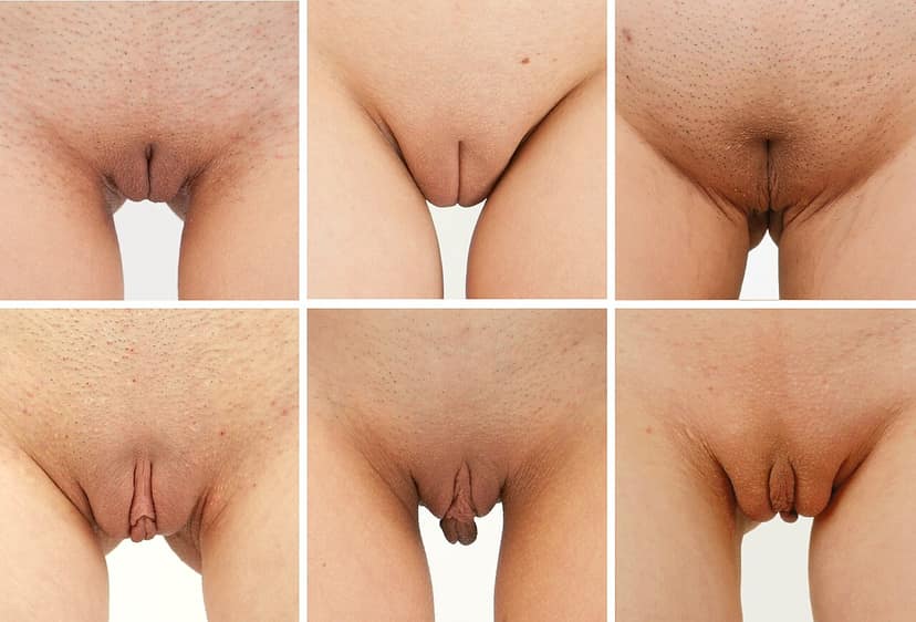 Le Dikke Van Dale ajoute vulvalippen à son dictionnaire