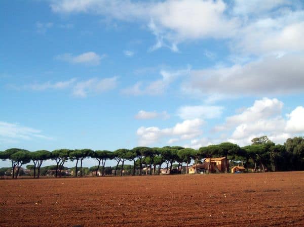 Italia e Danimarca chiedono centri di rimpatrio per affrontare l'immigrazione