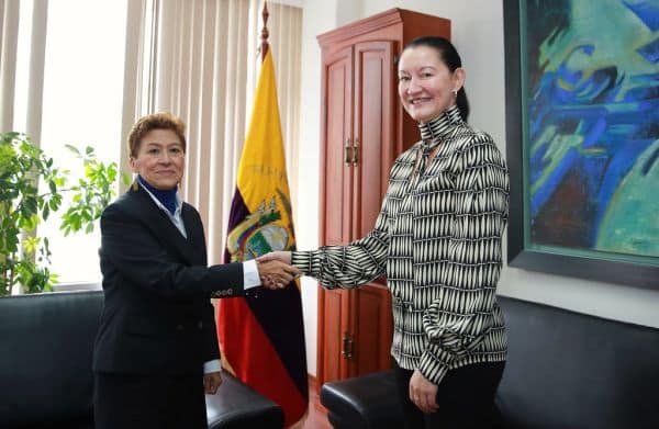 Foto d'archivio: I Leoni affrontano la Nuova Zelanda ai Mondiali 2026