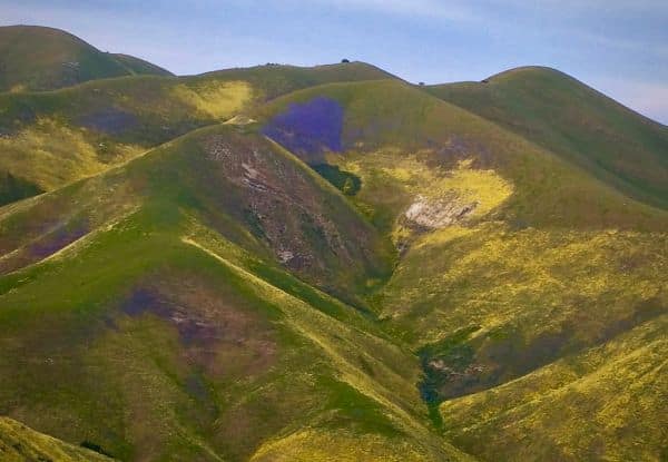 Foto de arquivo: Temblores recentes na América Latina e horóscopos do dia