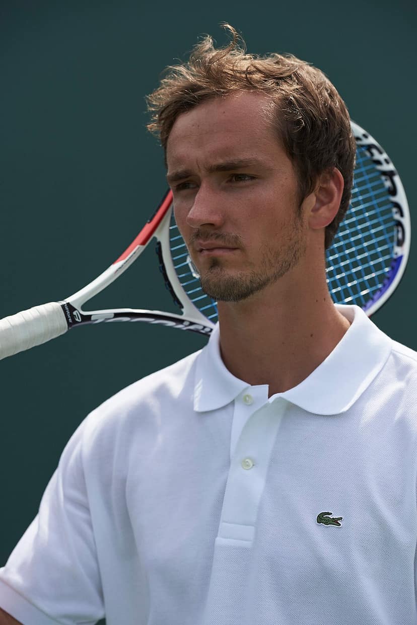 Archivbild: Daniil Medvedev verwirrt von Vögeln während US Open