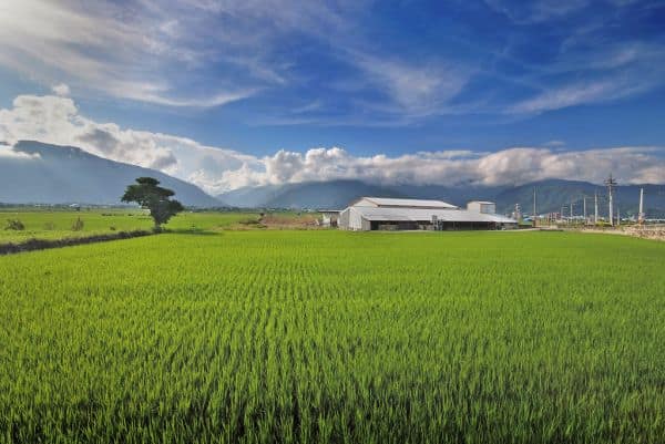 Gobierno de Taiwán planea aumentar gastos en Defensa para 2027