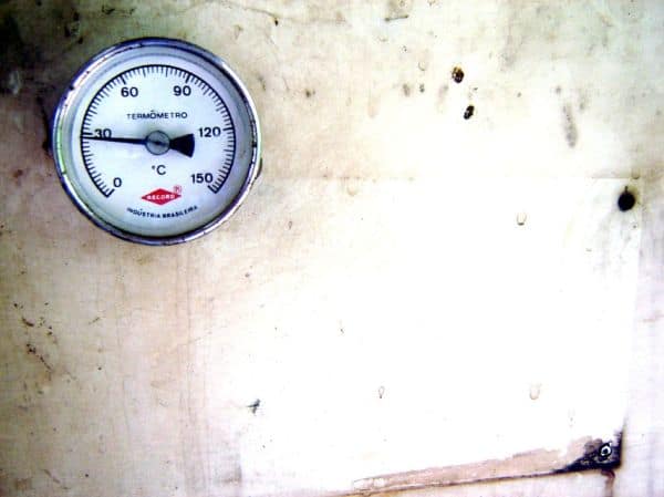 Reino Unido regista dia mais quente do ano com 38,1°C