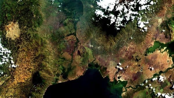 Subiu para 1.887 número de mortos por Ébola na RD Congo