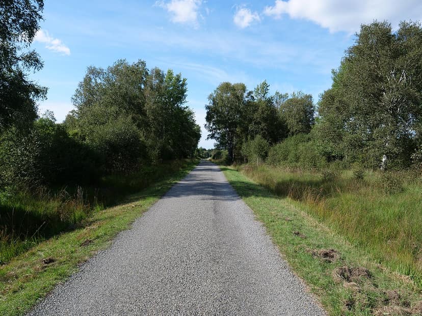 Les enfants du camp Kazou réunis avec leurs parents après évacuation dans les Hautes Fagnes