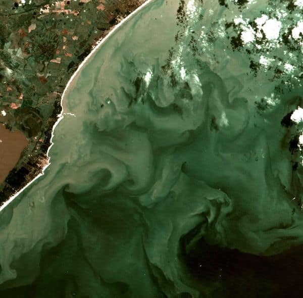 Mozambique investeert 1,4 miljard dollar om de landbouwproductiviteit te verhogen