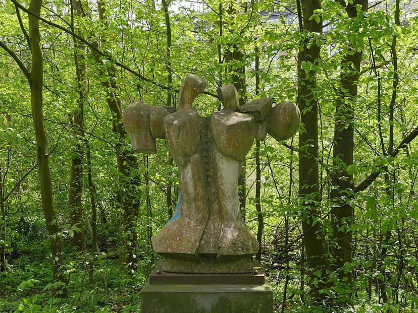 Body found in Schleswig-Holstein: Human torso discovered