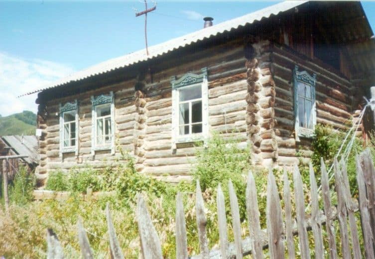 Archivbild: Bär tötet Camperin im russischen Altaigebirge