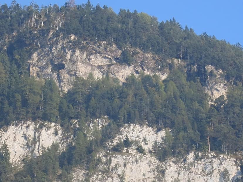 Archieffoto: Bosbrand in de Eifel: 1800 mensen uit Hürtgenwald geëvacueerd
